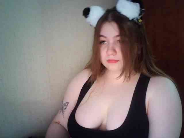 Meowmaw webcam