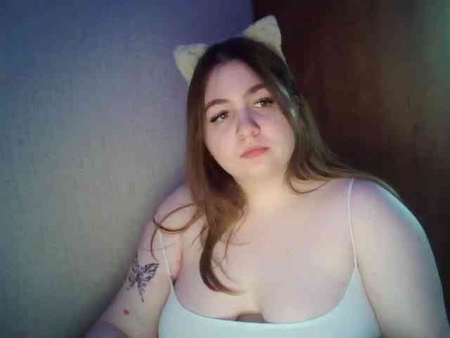 Meowmaw webcam