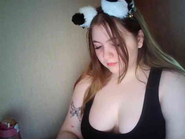 Meowmaw webcam