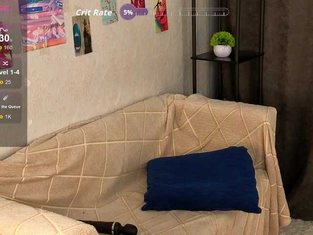 Liznip webcam