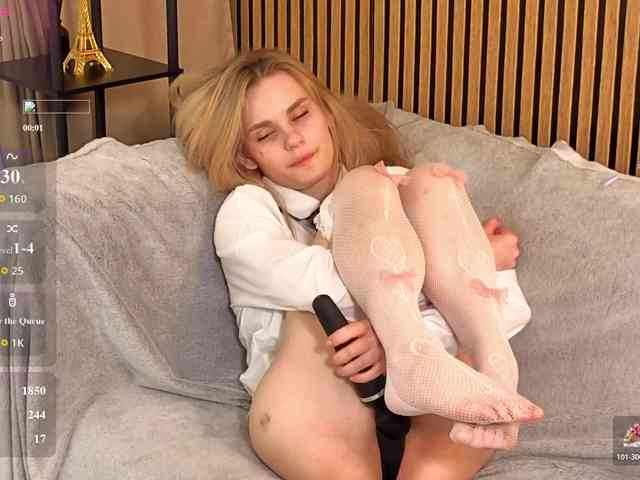 Liznip webcam