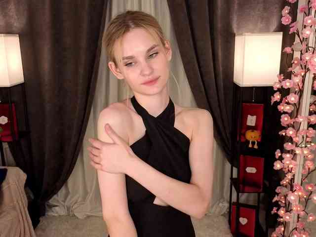 Liznip webcam