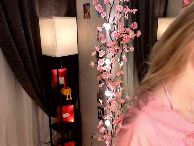 Liznip webcam