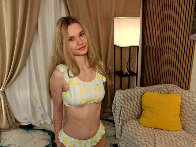 Liznip webcam