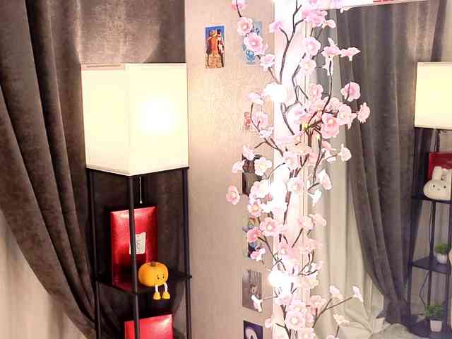Liznip webcam