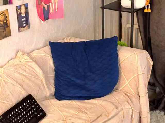 Liznip webcam
