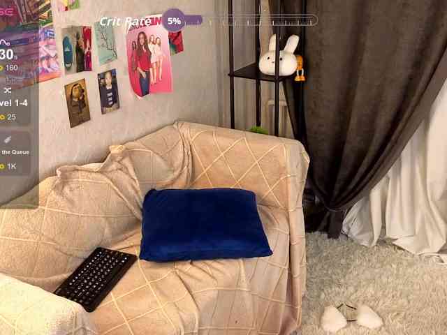 Liznip webcam