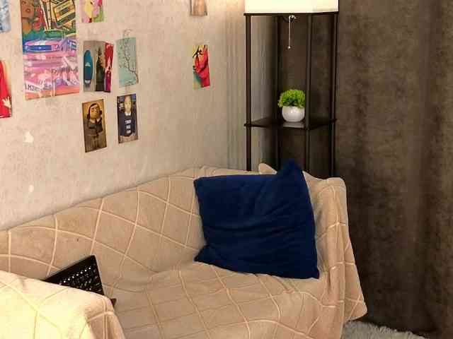 Liznip webcam