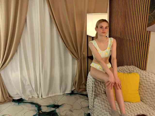 Liznip webcam