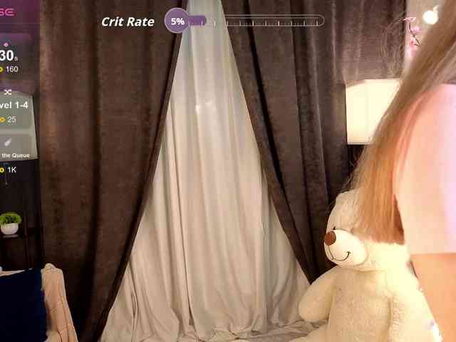 Liznip webcam