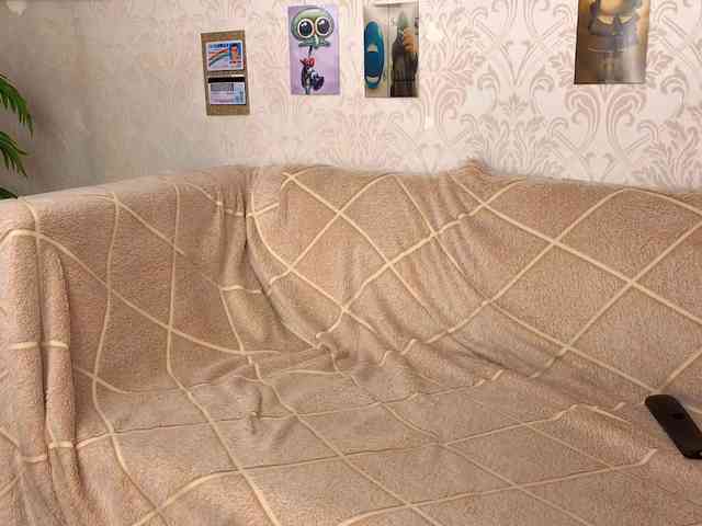 Liznip webcam