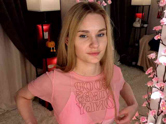 Liznip webcam