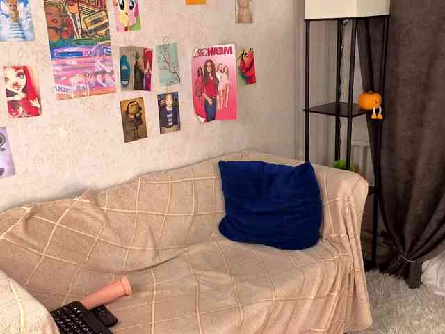 Liznip webcam