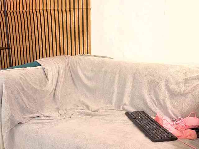 Liznip webcam