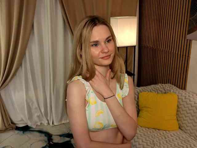 Liznip webcam