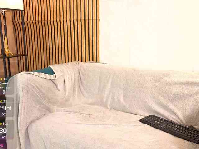 Liznip webcam