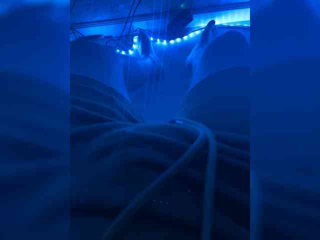 Asqwerty777