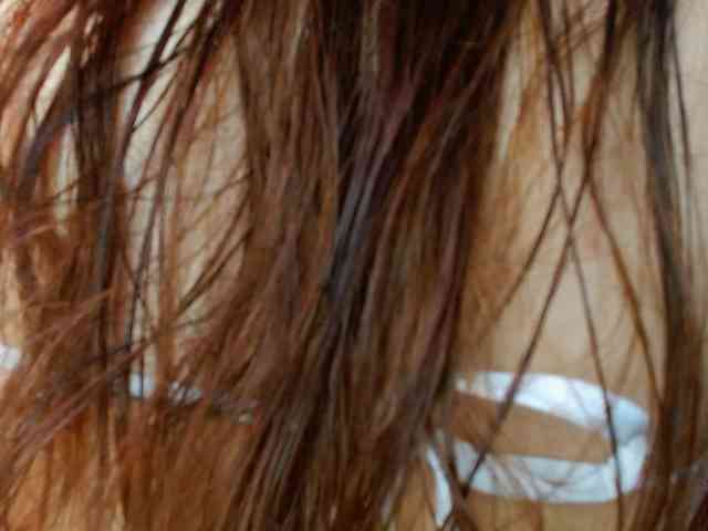 LOLIITA webcam