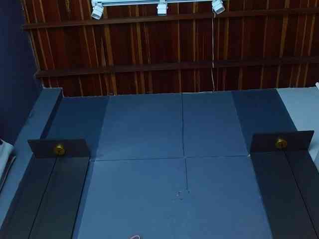 LOLIITA webcam