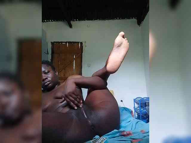 Wilmer1a webcam