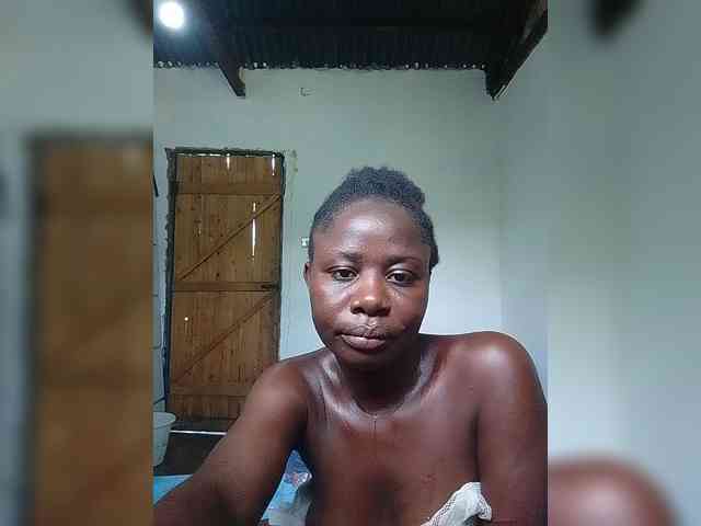Wilmer1a webcam