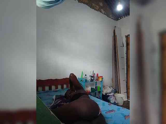 Wilmer1a webcam