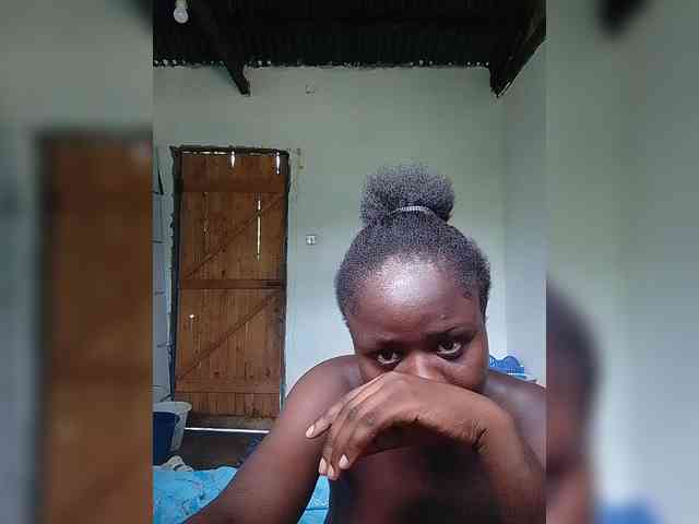 Wilmer1a webcam
