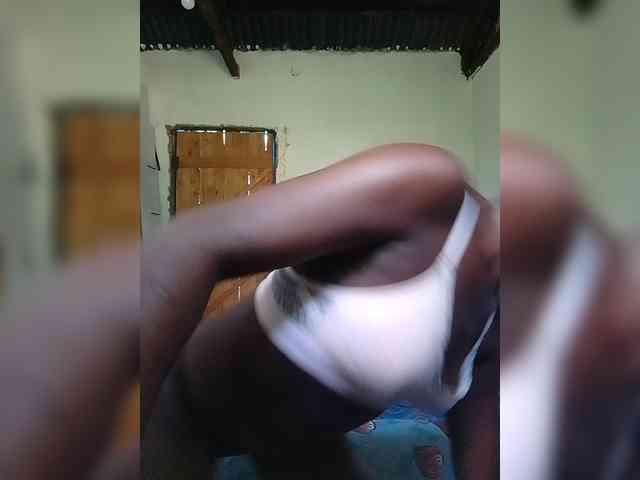 Wilmer1a webcam