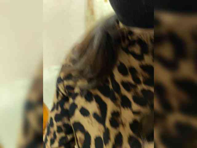 SexAnya webcam