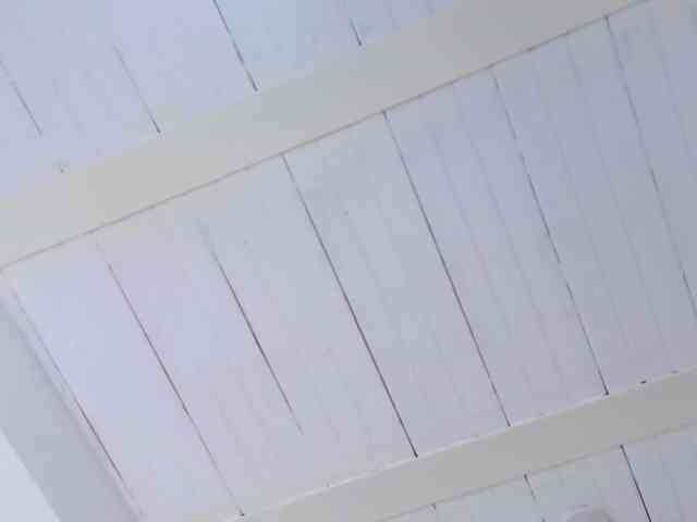 alajndraatul webcam