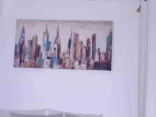 alajndraatul webcam