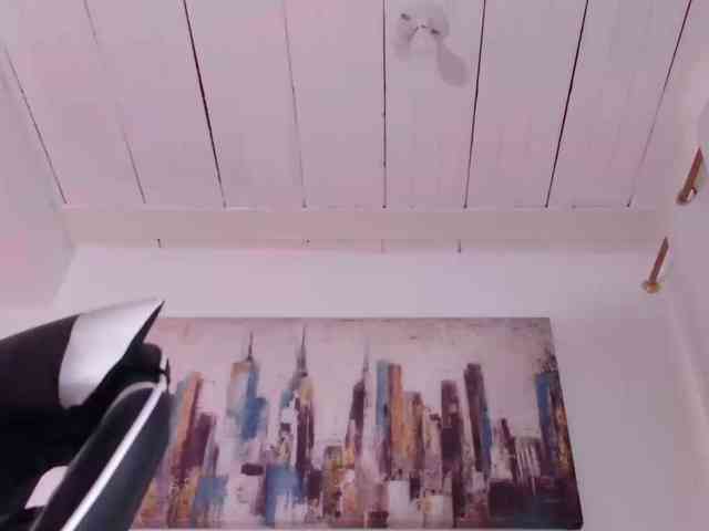 alajndraatul webcam