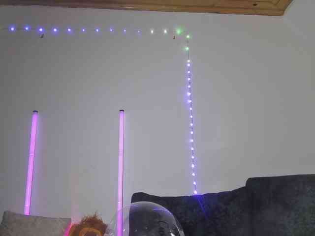 Samiferrer webcam