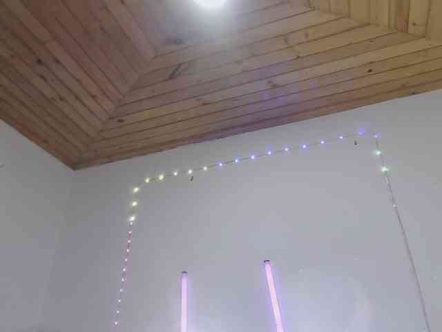 Samiferrer webcam