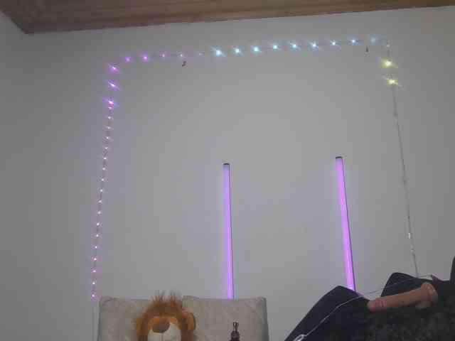 Samiferrer webcam