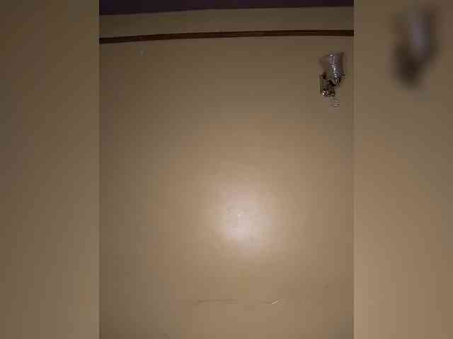 Africal webcam