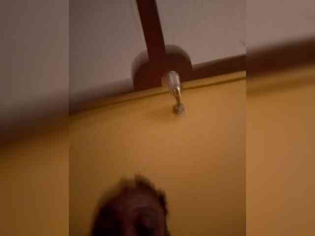 Africal webcam