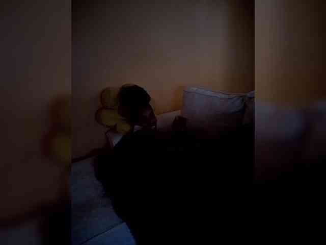Africal webcam