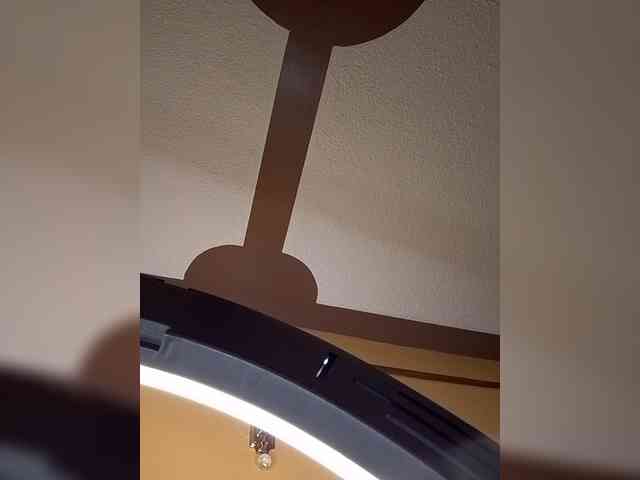 Africal webcam