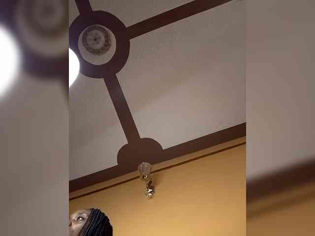 Africal webcam