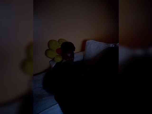 Africal webcam