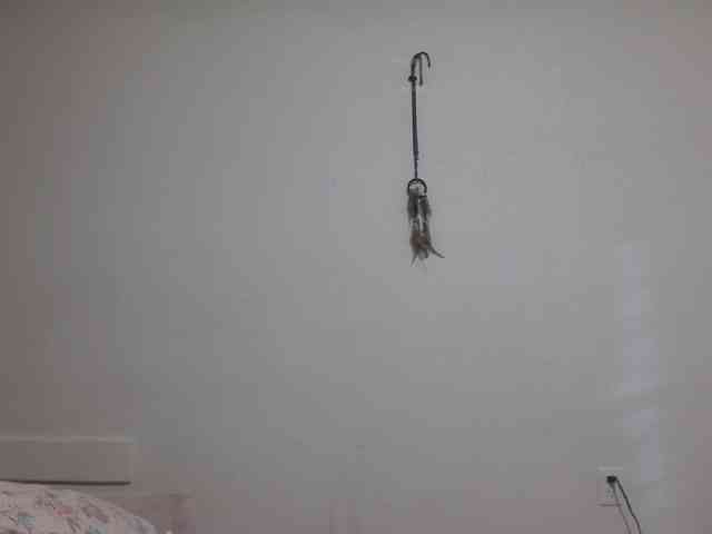 BraziLaveauxx webcam