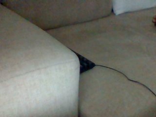 Dollie's Live Webcam