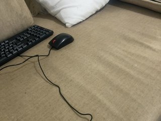 Dollie Porn Show