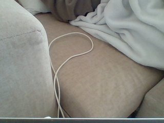 Dollie's Live Webcam