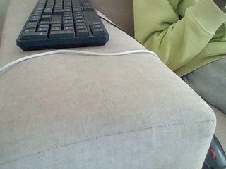 Dollie's Live Webcam