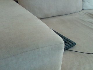 Dollie's Live Webcam