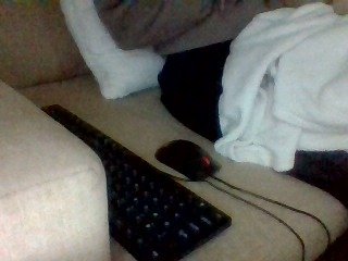 Dollie Porn Show
