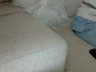 Dollie
