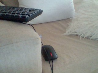 Dollie's Live Webcam